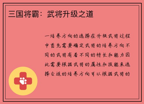 三国将霸：武将升级之道